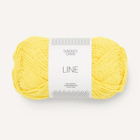 Line 9004 Lemon