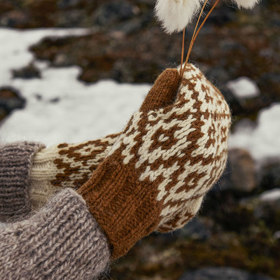 Arctic Knits | Weichien Chan