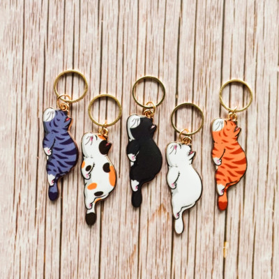 Markierringe | Petits chats - Schlafende Katzen