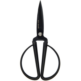 Precision Scissors