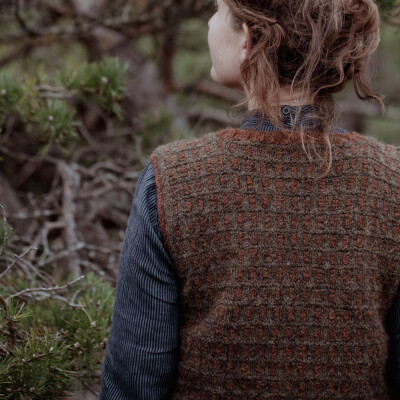 Vorbestellung: The Island and the Forest: A Knitted Correspondence